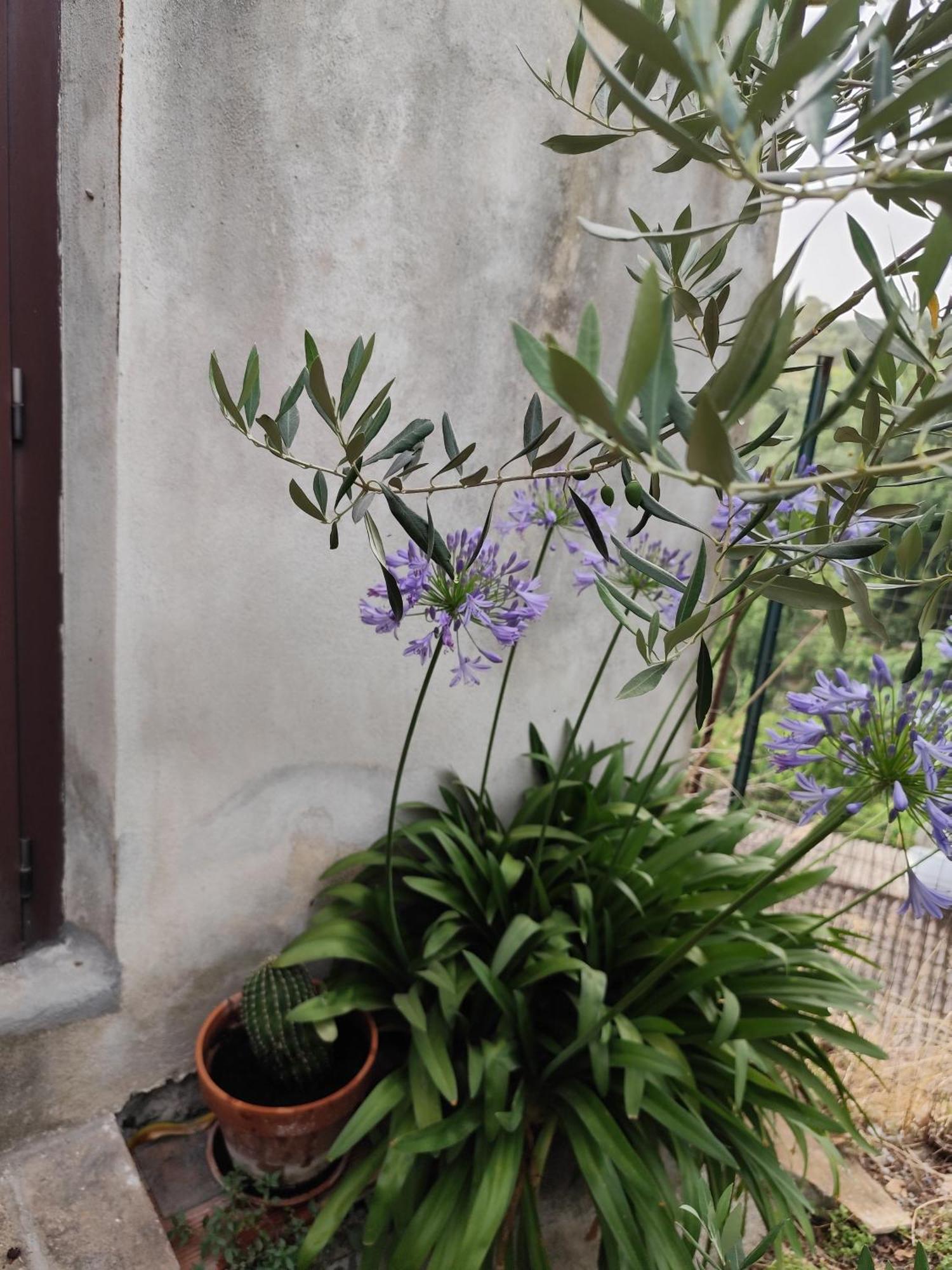 Villa Casa In Antico Borgo Medievale A Tarano Ri, Via Giacomo Leopardi, 15 Extérieur photo